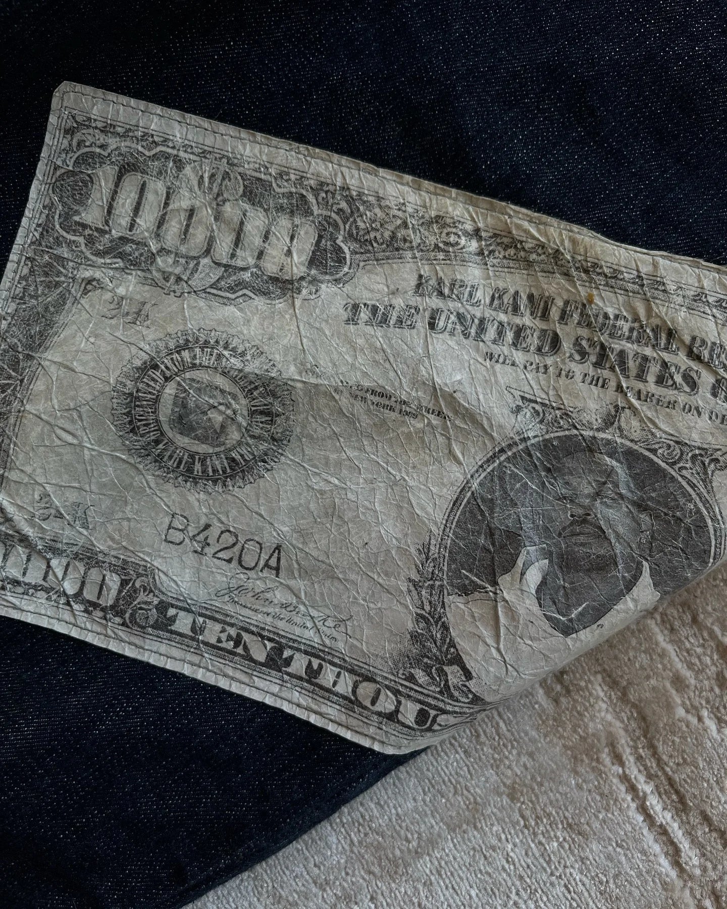 Money Print Twin Jeans